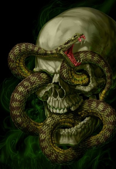 Цветной эскиз тату - череп со змеей