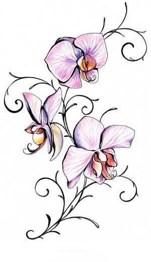 Цветной эскиз татушки орхидеи