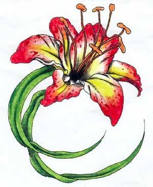 Красивый цветной эскиз тату - лилия