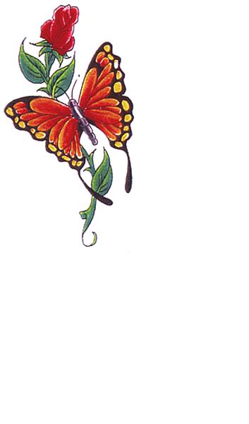 Цветной эскиз тату - цветок красной розы и бабочка