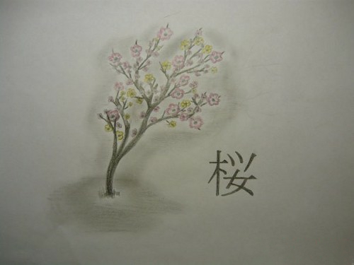 Цветной эскиз тату - дерево сакуры и иероглиф