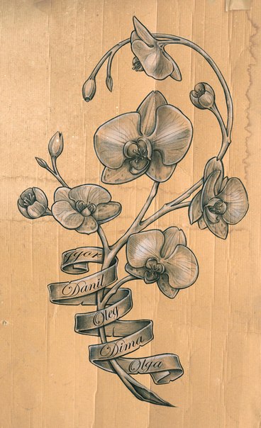 Эскиз татушки цветков орхидеи