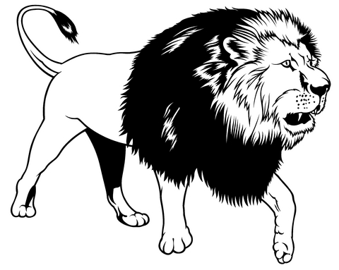 Эскиз татуировки: Лев с большой гривой