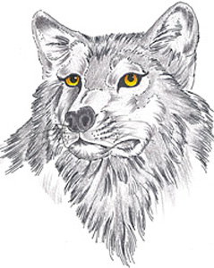 Эскиз татуировки Волк