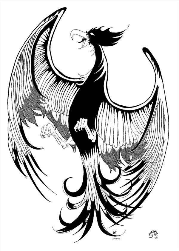 Черно-белый эскиз тату феникс