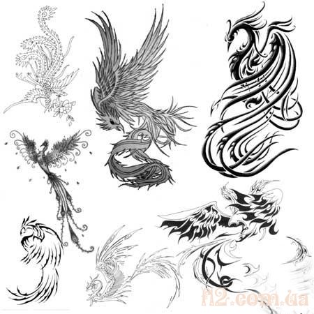 Эскизы Татуировки феникса