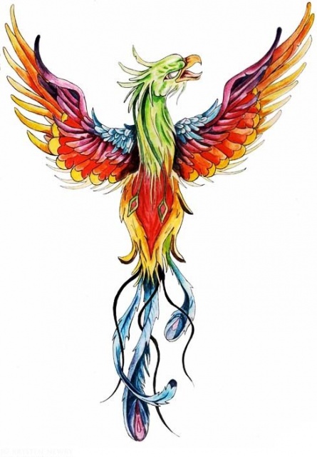 Цветной эскиз тату птица феникс