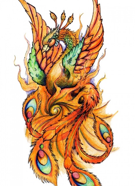Цветной эскиз татушки птица феникс