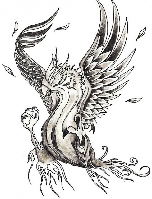 Черно-белый эскиз тату птица феникс