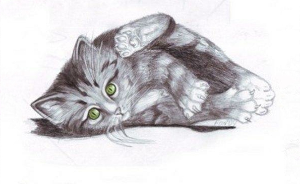 Эскиз татуировки в виде котенка