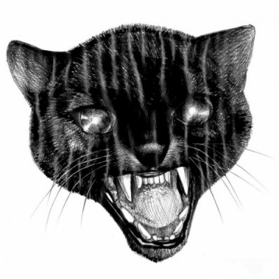 Черно-белый эскиз тату в виде головы кошки