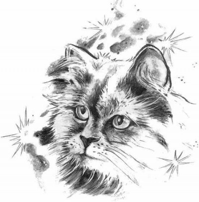 Красивый черно-белый эскиз тату в виде кошки
