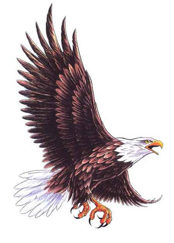 Цветной эскиз тату - орел