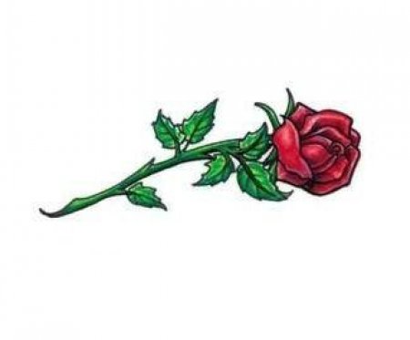 Цветной эскиз татуировки - роза