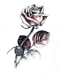 Красивый эскиз тату - цветок розы