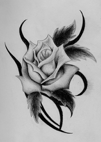 Эскиз тату - цветок розы