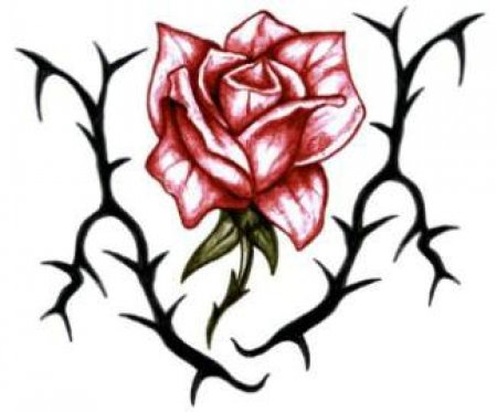 Цветной эскиз татушки - красная роза