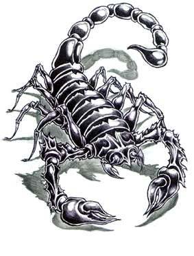 Эскизы тату скорпиона