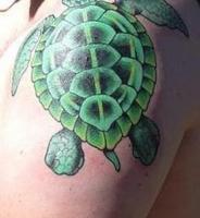 Тату зеленая черепаха на плече