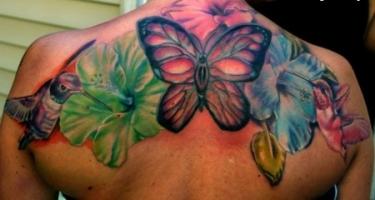 Тату колибри бабочка и три гибискуса на спине