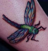 Тату зеленая стрекоза с цветными крылышками