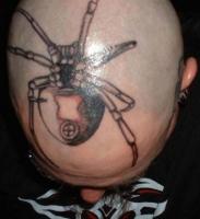 тату огромный паук на голове