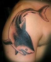 Тату акула - на правом плече