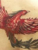 тату на спине красный феникс с черным хвостом