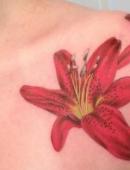 Тату два красных цветка лилии на плече
