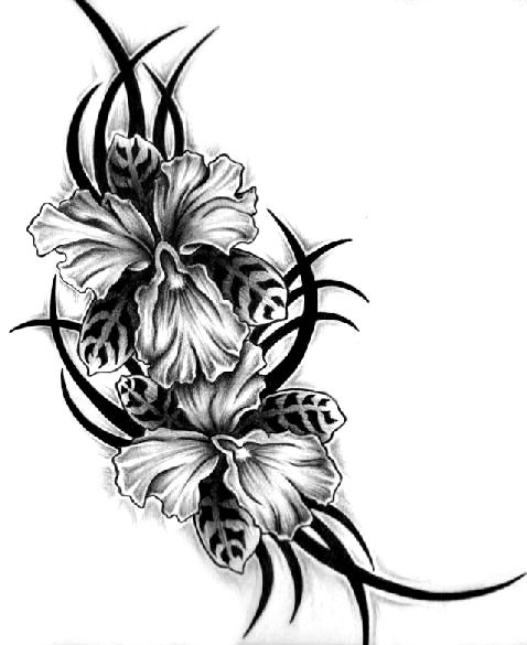 Эскиз татуировки узор с орхидеями