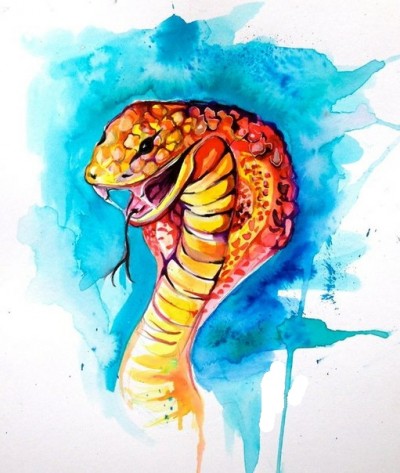 Красивый цветной эскиз - змея кобра